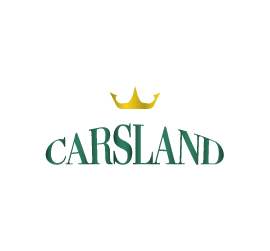 bcc84640-2735-49ef-aac8-abbd3ee8fca6.FD SAa - LOgoArtboard 2 copy 10